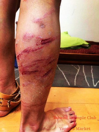 190001ha13kzqat7tl3qdq.jpg 190001ha13kzqat7tl3qdq.jpg