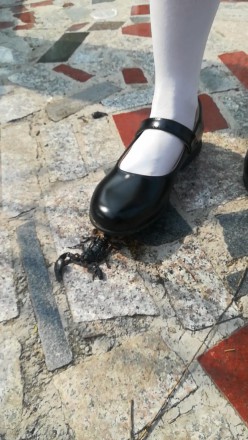 000402c7nshptp2b5n25sp.jpg 000402c7nshptp2b5n25sp.jpg