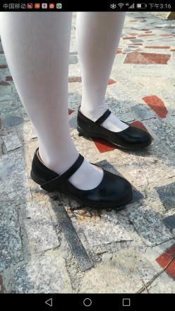 000356r0k54tl5j5xn15gj.jpg 000356r0k54tl5j5xn15gj.jpg