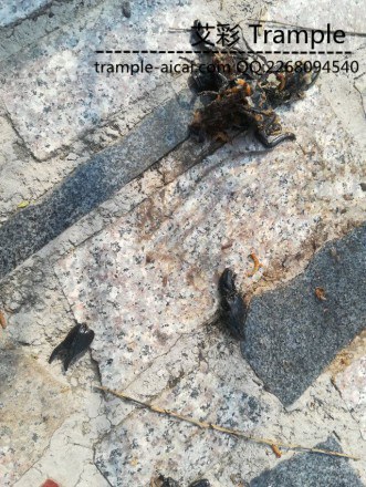 000353oy27xrbulylr0iuy.jpg 000353oy27xrbulylr0iuy.jpg