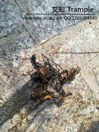 000351h44evoj2v4fjmp82.jpg 000351h44evoj2v4fjmp82.jpg