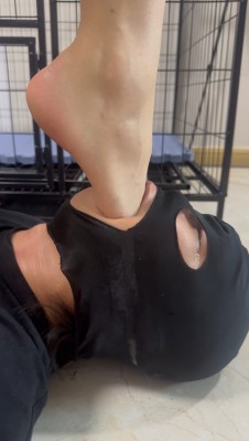 113259v43sqqztn9dkhh8l.jpg 113259v43sqqztn9dkhh8l.jpg